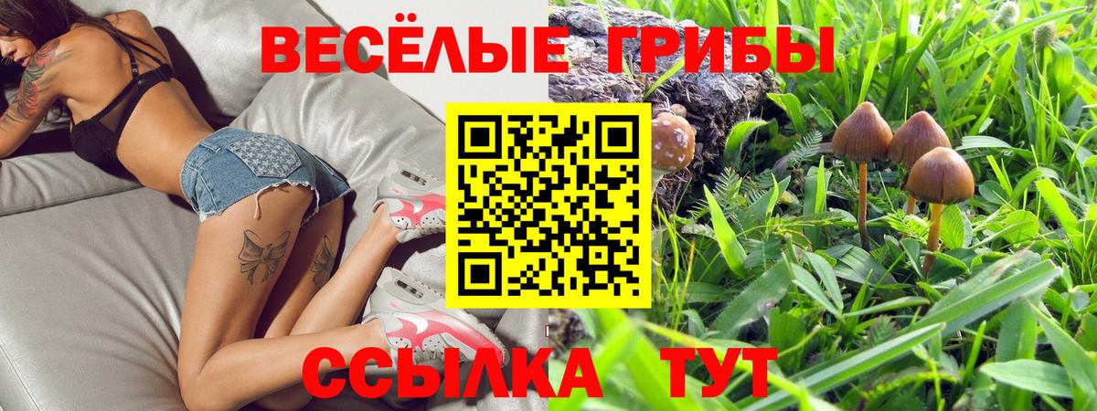 Кудрово  Псилоцибиновые грибы мицелий  Вход с VPN 